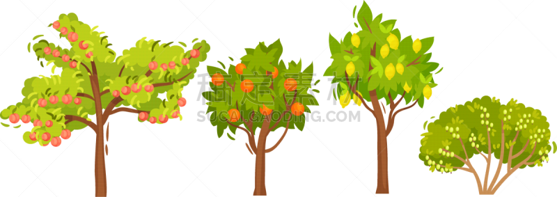 garden fruit trees and berry bushes set