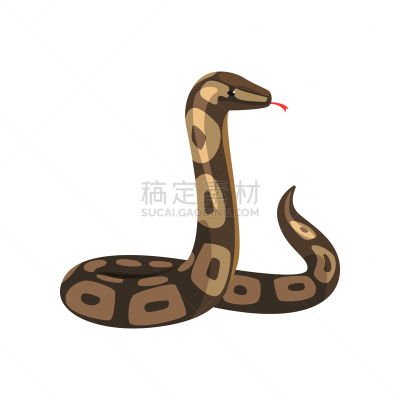鸡尾酒,巨蟒,舌头,巨大的,宠物,有毒物质,野生动物,图像,蛇,玻璃缸