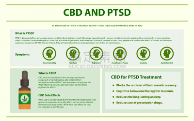 信息图表,CBD,水平画幅,受体,舌下,淋巴系统,植物,香熏油,炎症