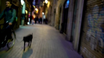 病态，醉酒或酗酒者夜间在危险城区行走的POV