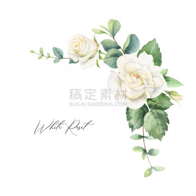 白色,贺卡,绿色,矢量,桉树,玫瑰,绘画插图,叶子,边框,历日