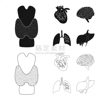 生物学,科学,背的，脊的,分离着色,健康保健,人,智慧,整形器具,思考,收集