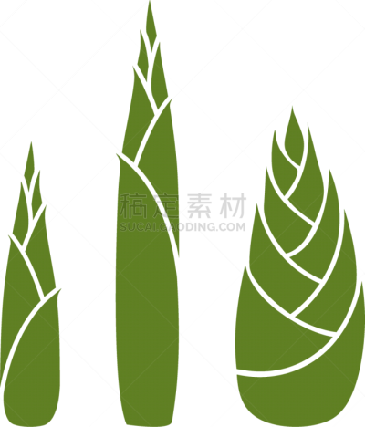 品牌名称,笋,白色背景,分离着色,生物学,清新,菜园,背景分离,滴瓶,营养品