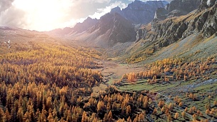 在阳光明媚的秋天，在高山山谷和橙色落叶松森林林中前进天线。阿尔卑斯山户外山野秋天自然在日落或日出时建立。 无人机飞行建立拍摄