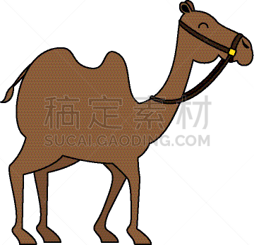 动物,骆驼,旅途,传统,野生动物,哺乳纲,埃及,单峰骆驼,沙漠,运输