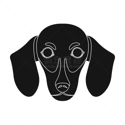 纯种犬,狗,腊肠犬,分离着色,宠物,图像,哺乳纲,猪嘴,动物,品牌名称