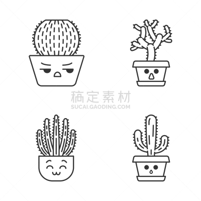 可爱的,仙人掌,可爱,性格,直的,桶,皮塔雅,安静,背景分离,花盆