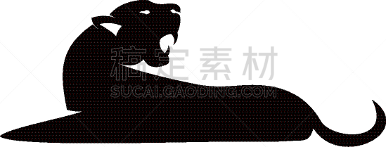 美洲豹,动作,虎,摆拍,图像,彪马,哺乳纲,动物,矢量,站