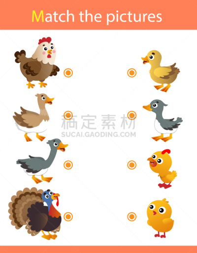 动物,儿童,卡通,谜题游戏,鹅肉,鸡,鸭子,野味,模仿,教育