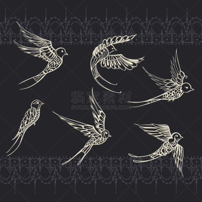 鸟类,燕子,可爱的,自然,高雅,画画,收集,弯曲,飞