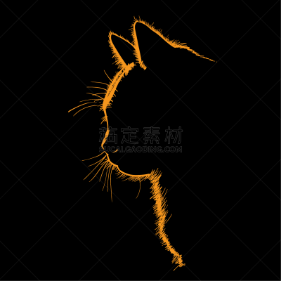 肖像,猫,反差,分离着色,夜晚,黄金,图像,模板,逆光,剪影