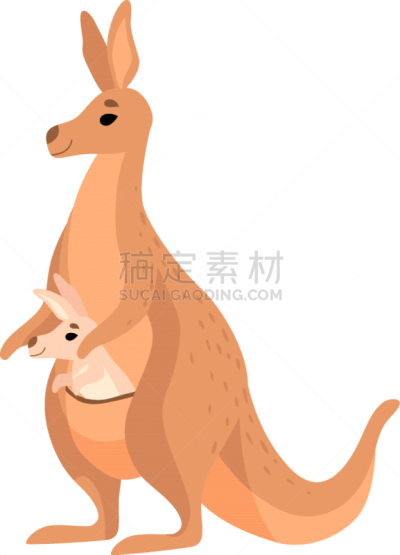 可爱的,动物的育儿袋,袋鼠,婴儿,褐色,摆拍,父母,母亲,野生动物,运送