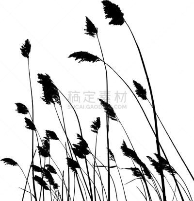 芦苇,农业,脉搏图,草,湖,阴影,植物,河流,剪影,写实