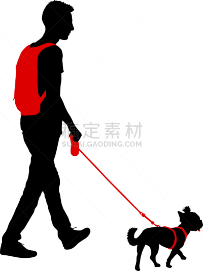 狗,男人,白色背景,纯种犬,梗犬,动物,斯班尼犬,剪影,坐,训练