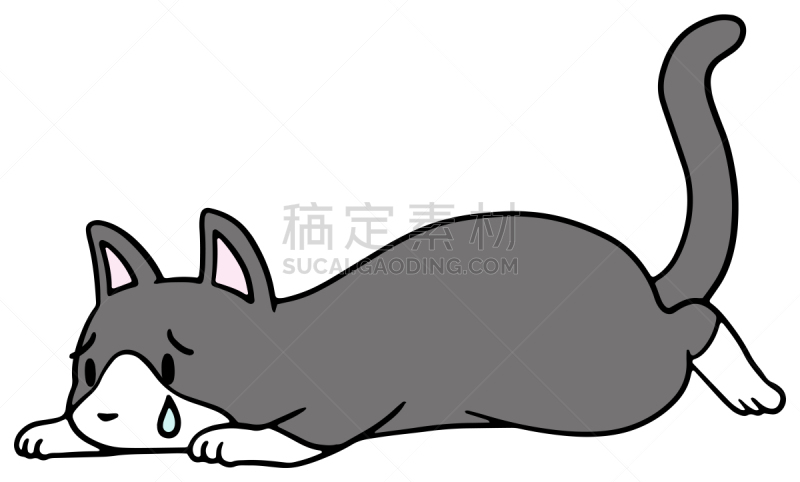 矢量,绘画插图,猫,惊骇,十二生肖,恐怖,简单,动物,宠物商店