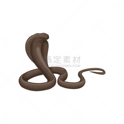 埃及眼镜蛇,图标,平坦的,巨大的,有毒物质,长的,野生动物,蛇,模板,爬虫学
