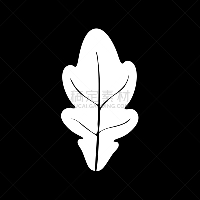 白色,橡树叶,活力,自然,季节,营养阶段,秋天,图像,十一月,自然美