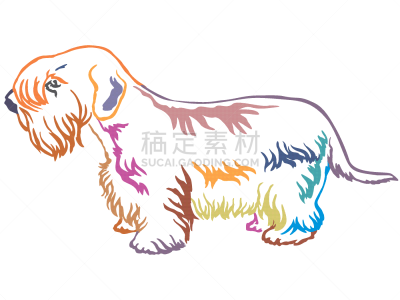 多色的,矢量,绘画插图,希利哈姆犬,华丽的,注视镜头,纯种犬,背景分离,站,站