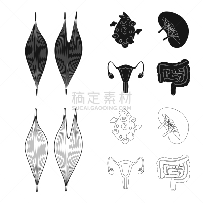生物学,科学,分离着色,标志,人造物,静脉滴注,健康保健,植物群,空肠,研究