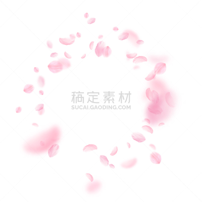 浪漫,粉色,花瓣,樱之花,仅一朵花,请柬,清新,风,落下,爱
