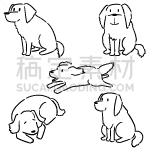 狗,金毛寻回犬,可爱的,华丽的,纯种犬,动物,装饰物,布置,坐,绘制