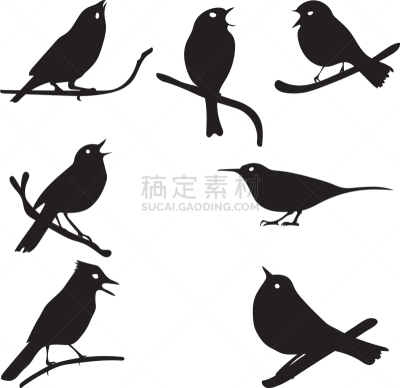 枝,鸟类,轮廓,自然,夜莺,图像,翠鸟,百灵鸟,知更鸟,矢量