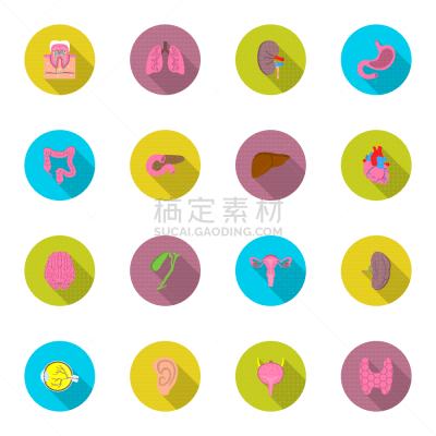 阴影,扁平化设计,图标集,生物学,健康保健,人,男人,图像,眉毛