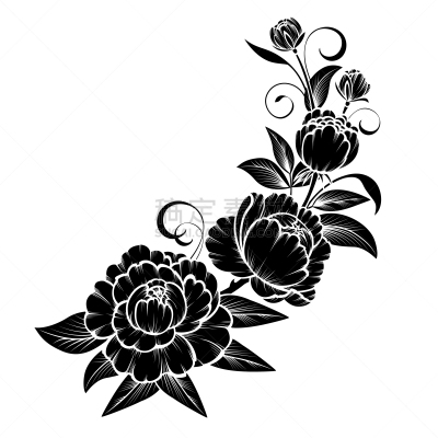 枝,玫瑰,华丽的,植物,夏天,剪贴画,草图,复古,花,剪影