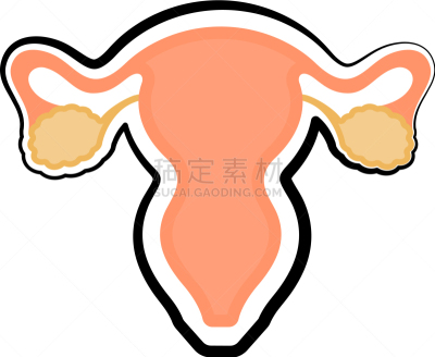 草图,女性生殖系统,健康保健,人,图表,图像,毛囊,女人