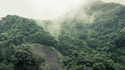 4k时间间隔:台湾乌来青山上的云雾雨林