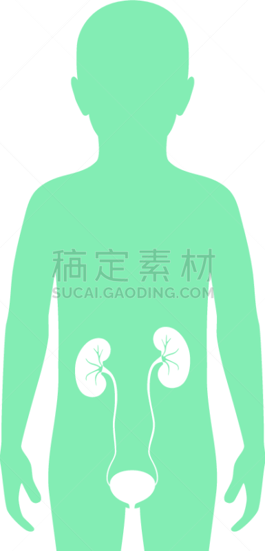 肾脏,分离着色,儿童,泌尿系统,健康保健,门诊部,品牌名称,透析过滤器,剪影