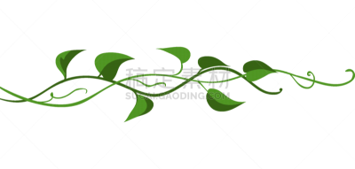藤蔓植物,枝,野生植物,环境,野生动物,植物群,公园,植物,夏天,缠绕