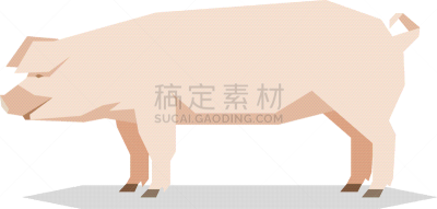 几何形状,平坦的,约克夏种白猪,可爱的,农业,食品,哺乳纲,猪,动物,谷仓
