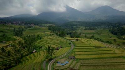 印度尼西亚巴厘岛Ubud水稻梯田鸟瞰-无人机视角 分辨率，拍摄于亚洲Jatiluwih水稻梯田。