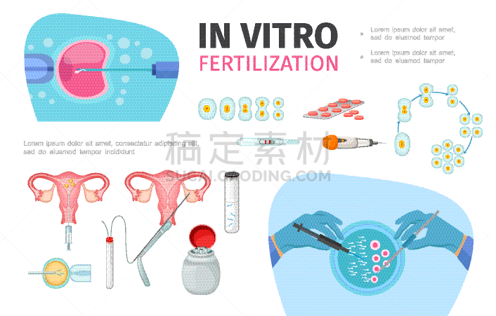 平坦的,注射器,华丽的,健康保健,概念,图像,人工授精,构图,收集