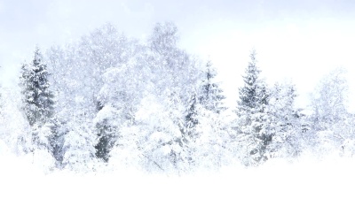暴风雪
