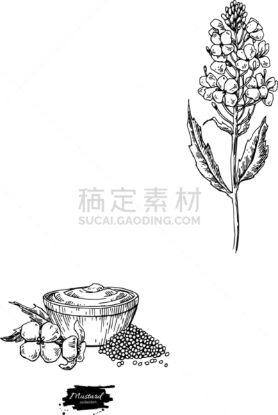 开胃酱,动物手,碗,菜单,配方,香料,食品,番茄酱,绘制,腌制