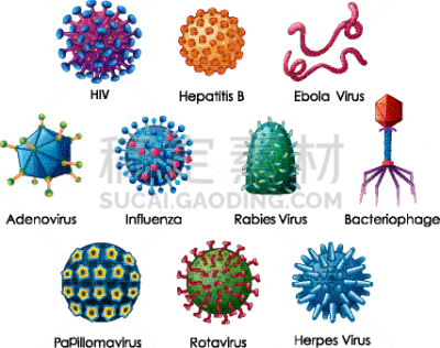图表,狂犬病,分离着色,白色,不卫生的,图像,生病