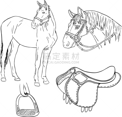 马,矢量,绘画插图,两只动物,活力,马勒,图表,运动,迅速,简单