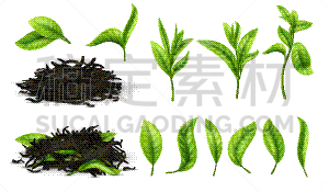 草本,干的,特写,蔬菜,茶树,传统,清新,植物群,堆,写实