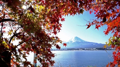 日本川口湖秋季在高洋的富士山(Fujisan)，山梨湖(Yamanashi)