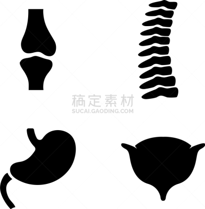 家庭,计算机图标,简单,酸,生物学,健康保健,药,尾骨,骨盆