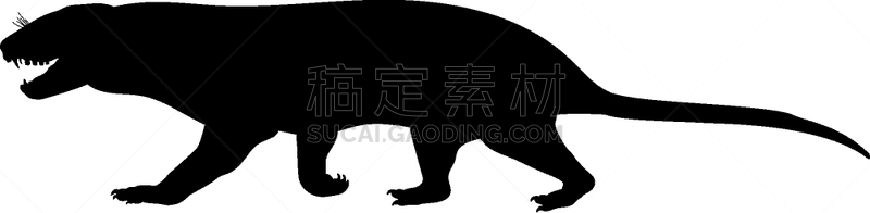 已灭绝生物,分离着色,三叠系,地质学,野生动物,古生物学,图像,侏罗纪,剪影