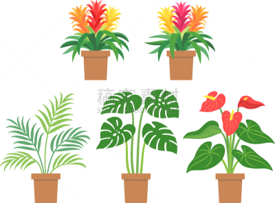 绘画插图,叶子,植物群,鸡尾酒,侧面,背景分离,花盆,热带气候,简单,擎天属