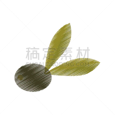 橄榄,叶子,分离着色,蔬菜,有机食品,自然,食品,绘制,树,装饰