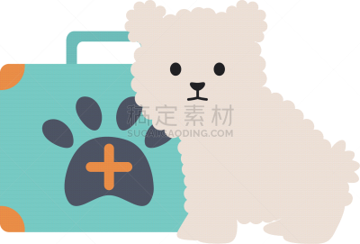 可爱的,急救包,哈巴狗,宠物,纯种犬,愉悦,图像,狗,哺乳纲,爱