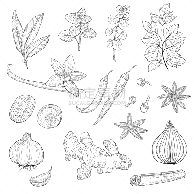 香料,草本,手,生姜,素食,蔬菜,清新,菜园,食品,香草兰