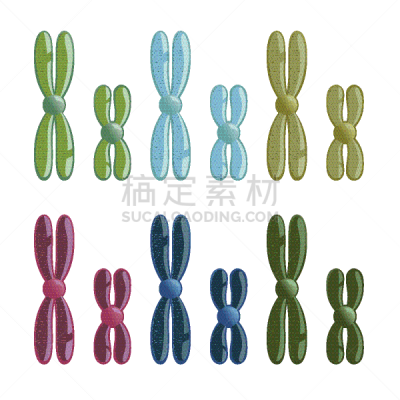 染色体,生物学,微生物学,健康保健,生物化学,药,生物科技,遗传研究,技术,基因突变