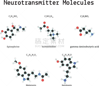 分子,第三节神经递质,分离着色,白色,羟色胺,乙酰胆碱,图像,原子,矢量,布置