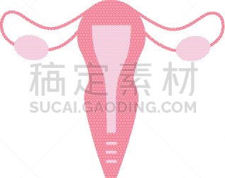 输卵管,女性,健康保健,人,图像,枝繁叶茂,女人